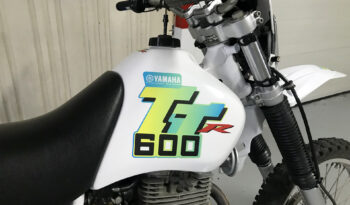 Yamaha TTR 600 completo