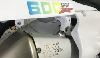 Yamaha TTR 600 completo