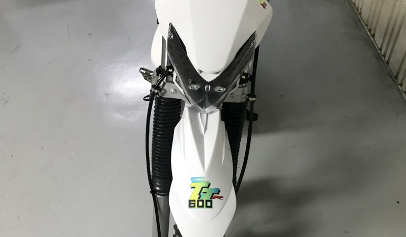 Yamaha TTR 600 completo