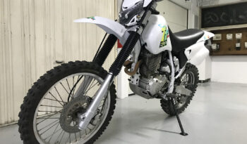 Yamaha TTR 600 completo