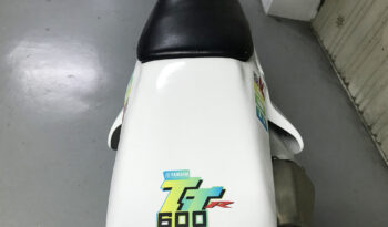 Yamaha TTR 600 completo